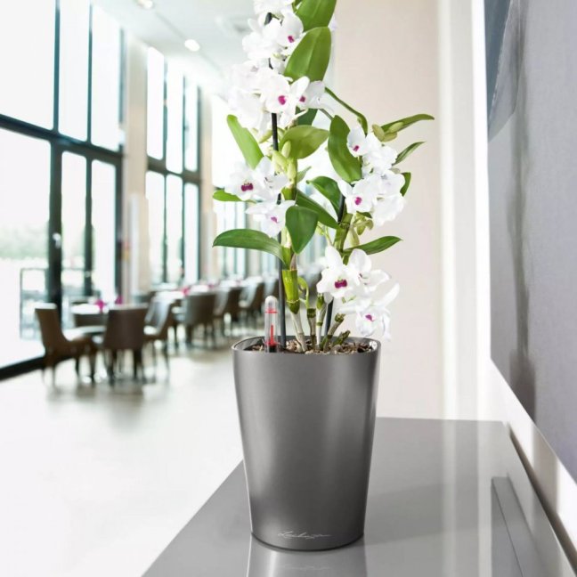 Deltini Premium - Barva: White Premium / bílá lesklá