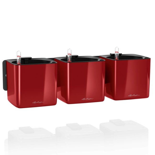 Zelená stěna Lechuza Premium - Barva: Scarlet Premium / červená lesklá