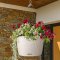 Nido Cottage 35
