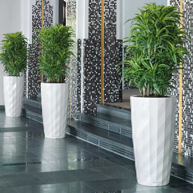 Diamante Premium - Barva: White Premium / bílá lesklá