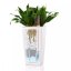 Mini Cubico Premium