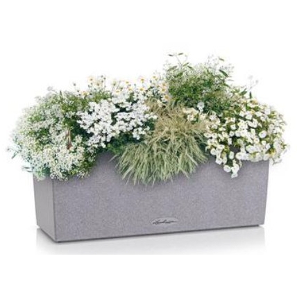 Balconera Stone 50 - Barva: Grey Stone / šedá matná
