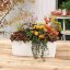 Balconera Trend 50 - Barva: Sand Brown Trend / písková matná