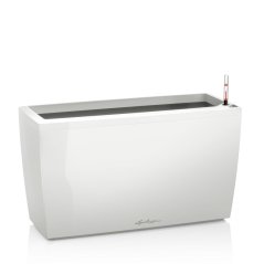Cararo Premium