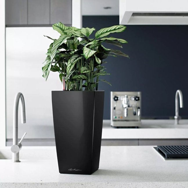 Cubico Premium 30 - Barva: Taupe Premium / kapučíno lesklá