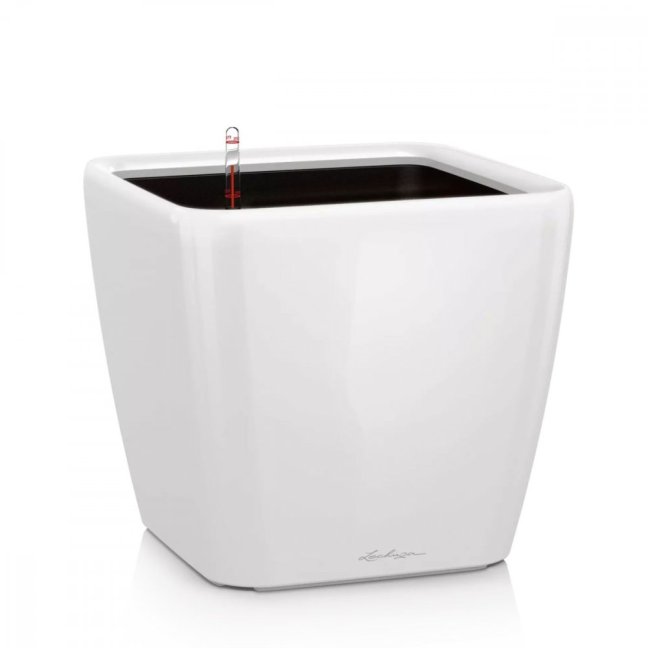 Quadro LS Premium 43 - Barva: White Premium / bílá lesklá