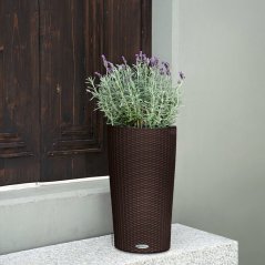 Cilindro Cottage 32