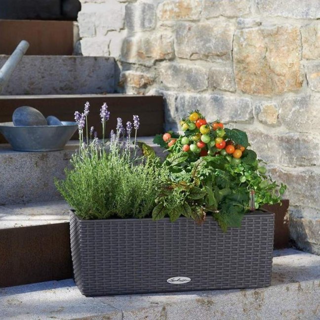 Balconera Cottage 50