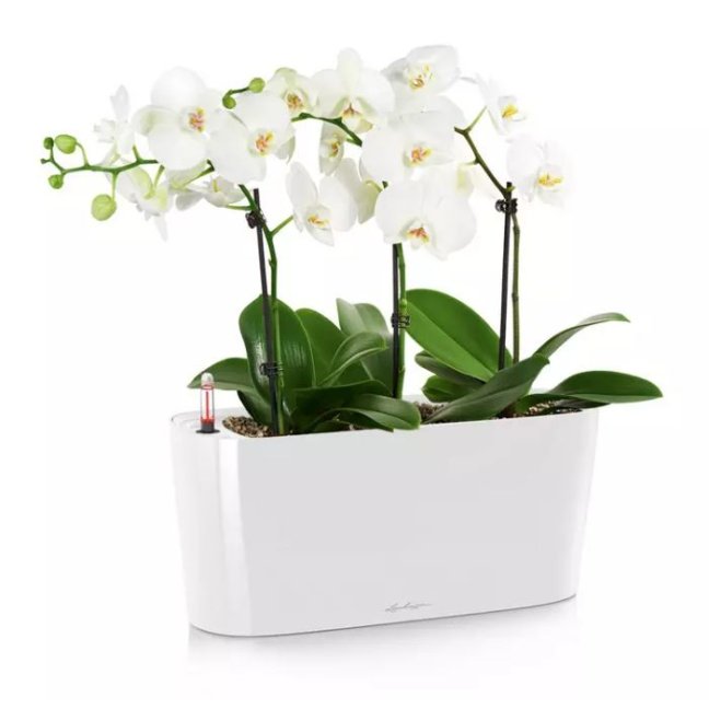 Delta Premium 10 - Barva: White Premium / bílá lesklá