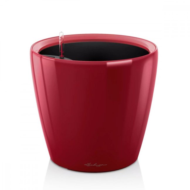 Classico LS Premium 43 - Barva: Scarlet Premium / červená lesklá