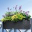 Balconera Cottage 80