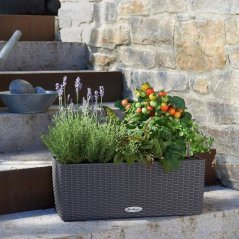 Balconera Cottage 50