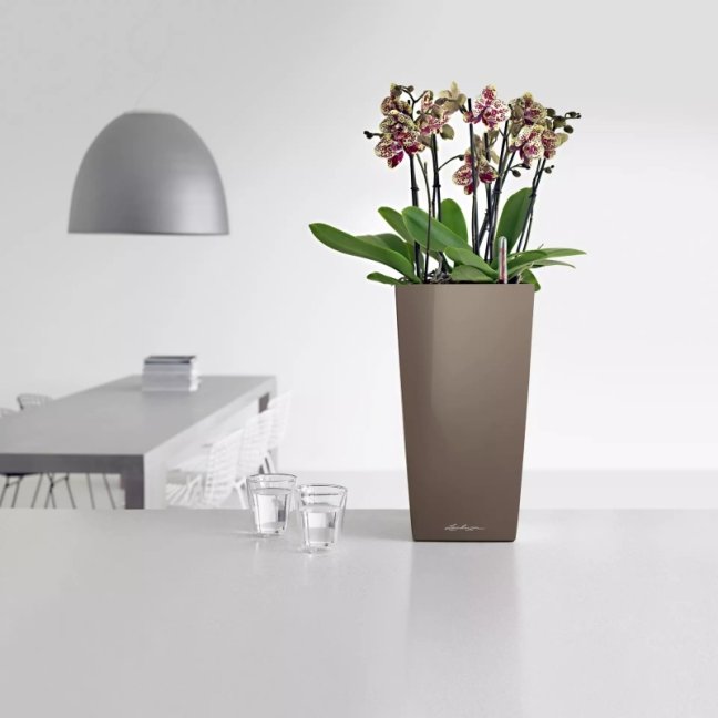 Cubico Premium 22 - Barva: Scarlet Premium / červená lesklá