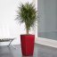 Cubico Premium 22 - Barva: Scarlet Premium / červená lesklá