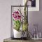 Orchidea Trend