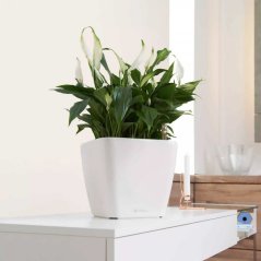 Quadro LS Premium 28