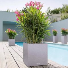 Canto Stone Square 40