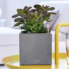 Canto Stone Square 14