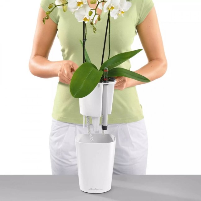 Deltini Premium - Barva: White Premium / bílá lesklá