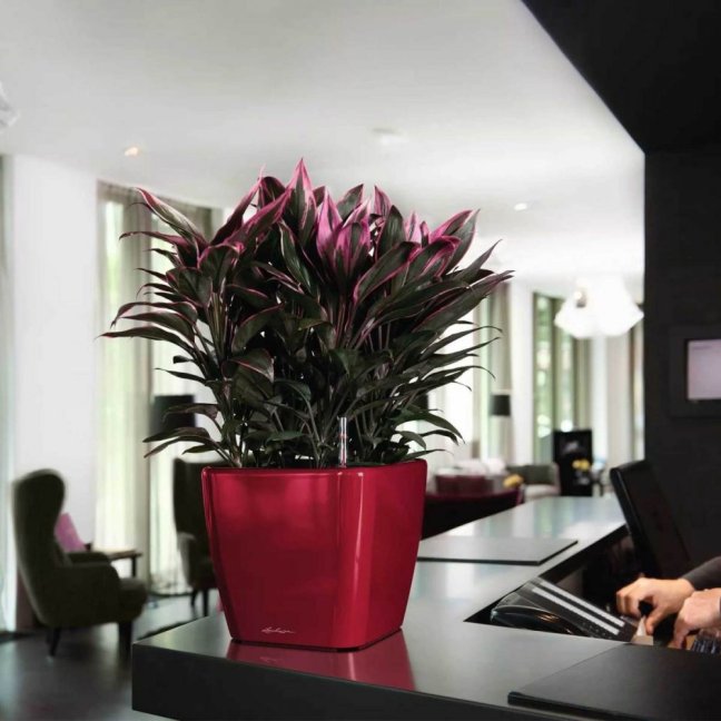 Quadro LS Premium 28 - Barva: Black Premium / černá lesklá