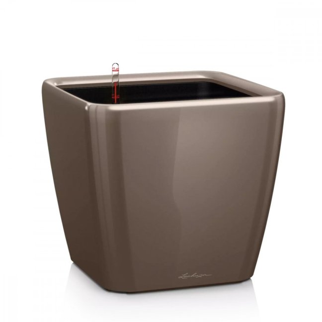 Quadro LS Premium 43 - Barva: Taupe Premium / kapučíno lesklá