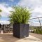 Cube Cottage 40