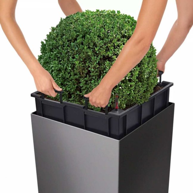 Cube Premium 50 - Barva: Silver Premium / stříbrná metalická