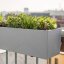 Balconera Stone 50 - Barva: Grey Stone / šedá matná