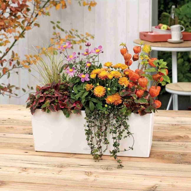 Balconera Trend 50 - Barva: Sand Brown Trend / písková matná