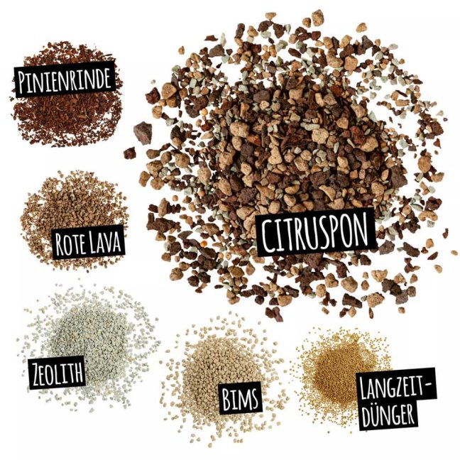 CitrusPon
