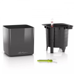Cube Premium 16