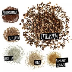 CitrusPon