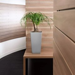 Cubico Premium 22