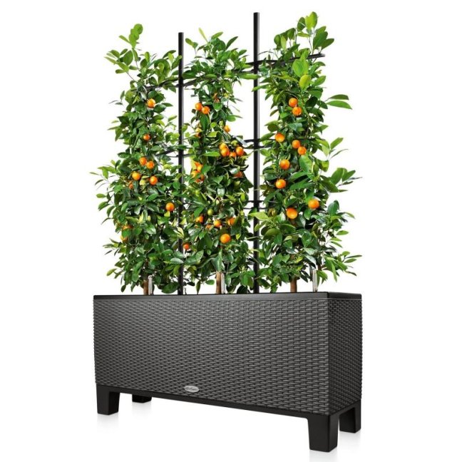 Podstavec pro Trio 30
